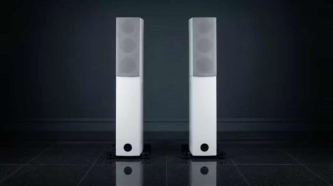 Audio Physic Avantera  (PAIR)